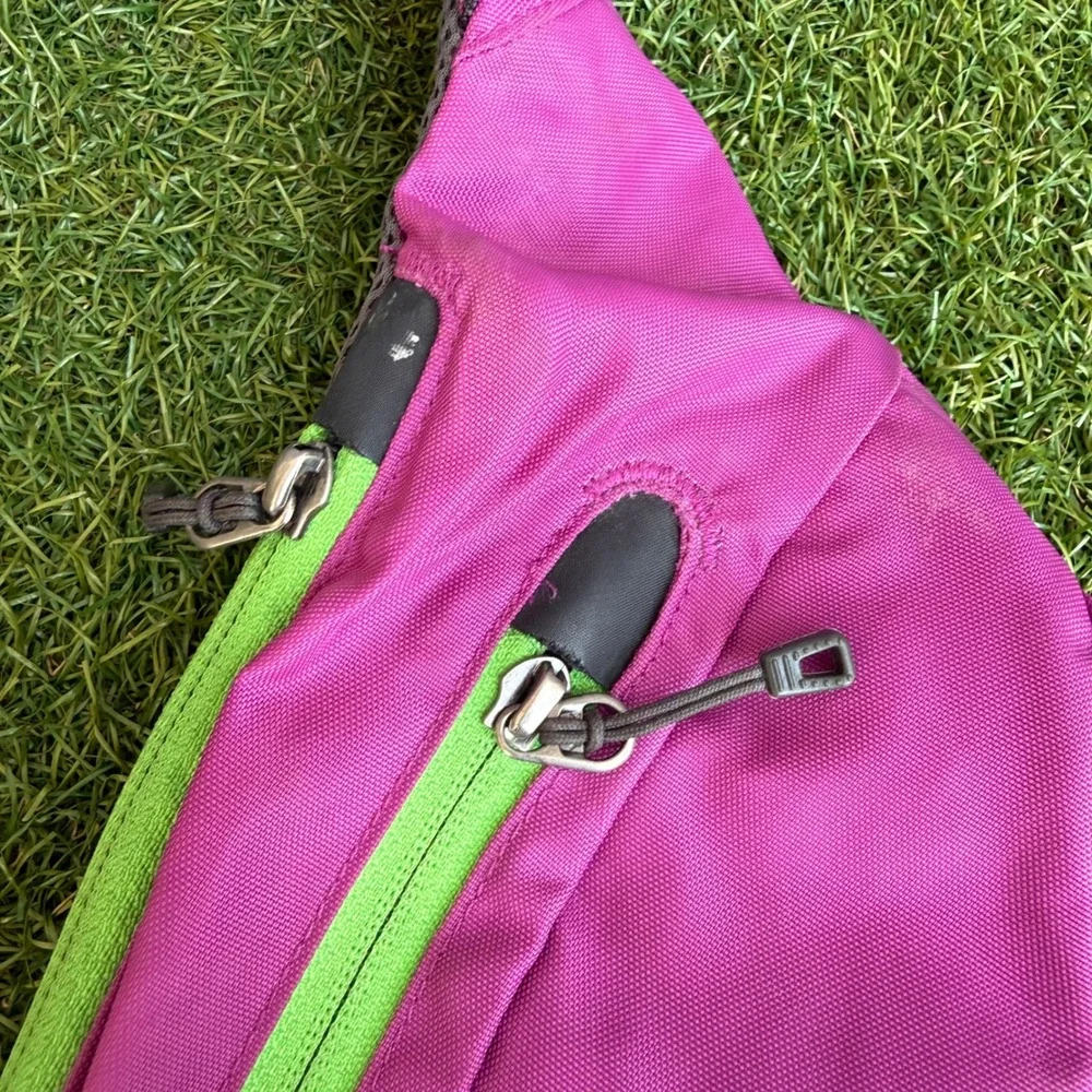Vtg Patagonia Atom Sling 8L Backpack Bag Pink Teal Lime Colorblock Gorpcore